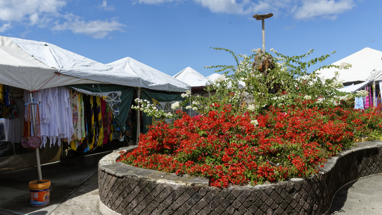 20190203-110750•City Centre•Roseau•Saint George•Dominica